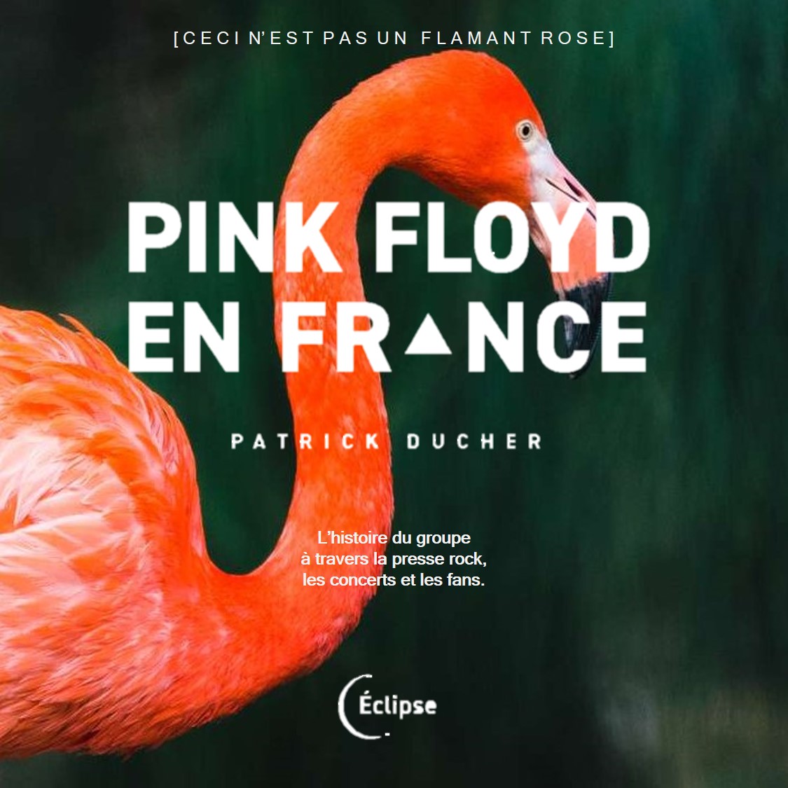 Lire la suite à propos de l’article Pink Floyd en France